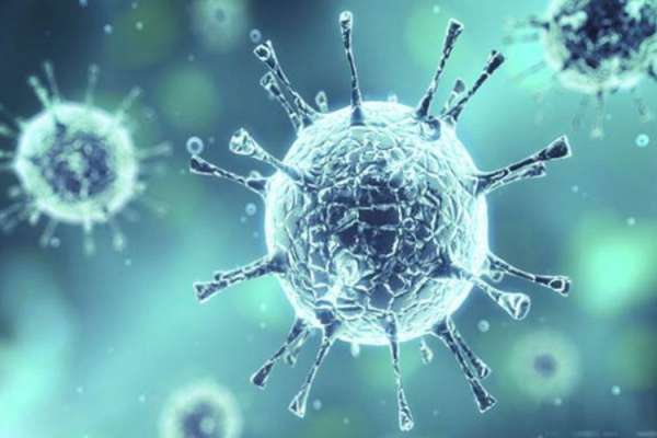 Virus Hanta, Virus Baru Setelah Virus Corona