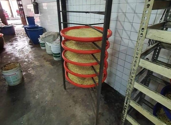 Jadi Sarang Tikus, Pabrik Mie Ini Penuh Dengan Kotoran Tikus!