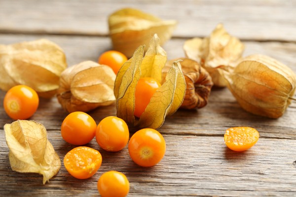 5 Fakta Ciplukan, Buah Liar yang Harganya Mahal